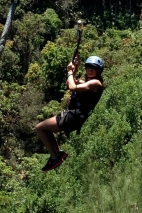 Zip-lining in the Jungle